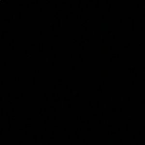 Meet your Posher, Jayden